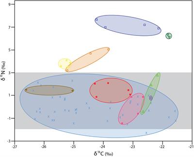 Stable Isotopic Evidence of Mixotrophy in Xylophagaids, Deep-Sea Wood-Boring Bivalves